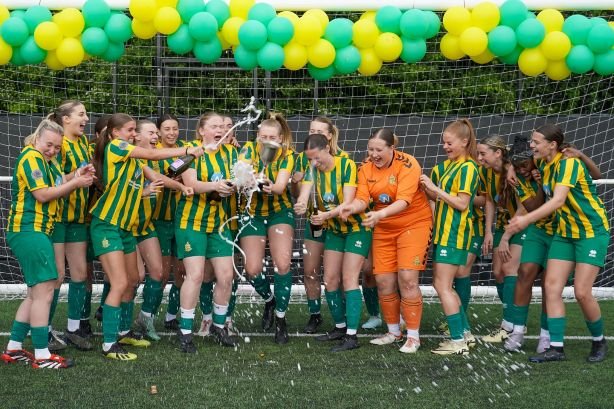Harpenden Town celebrate promotion