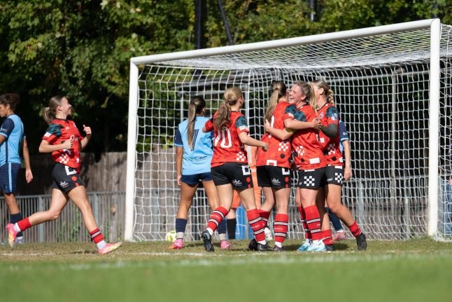 Womens soccer team in red uniforms celebrate together near the goal on a grassy field after scoring a goal while teammates in blue warm up nearby